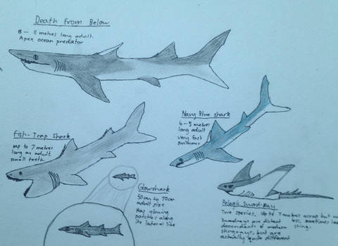 Atlantean Sharks of the open ocean: 200 MyF