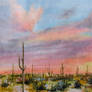 Arid Desert