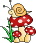 Snail on Mushroom