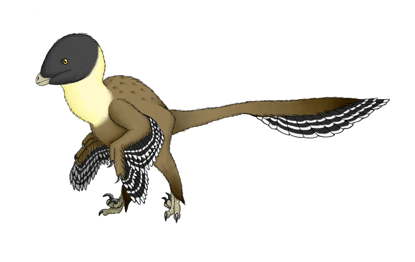 Balaur bondoc by DrawingDinosaurs