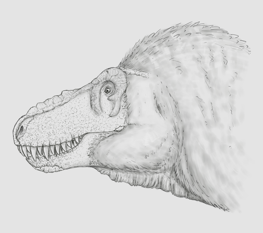 Smile for the illustrator, Rexy