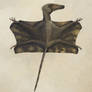 The Possible Pro-Pterosaur