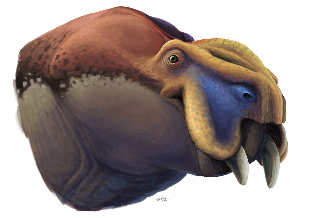 Rechnisaurus cristarhynchus by DrawingDinosaurs on DeviantArt