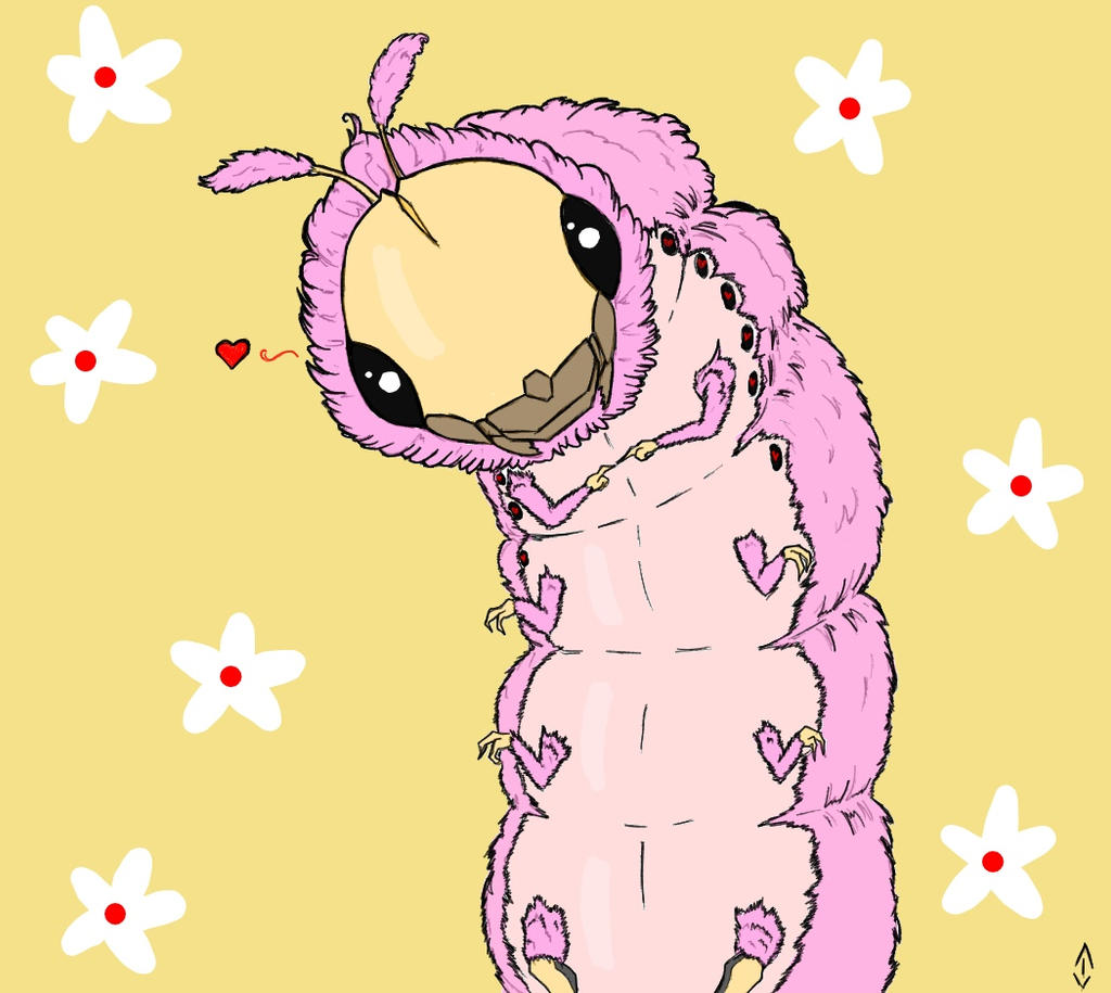 Larva by Gi-void on DeviantArt