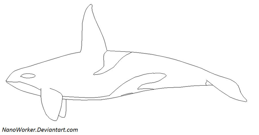 Orca Lineart by NanoWorker on DeviantArt