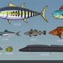 Widespread Marine Fish Species of Carnes