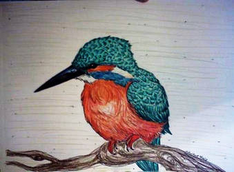 King Fisher