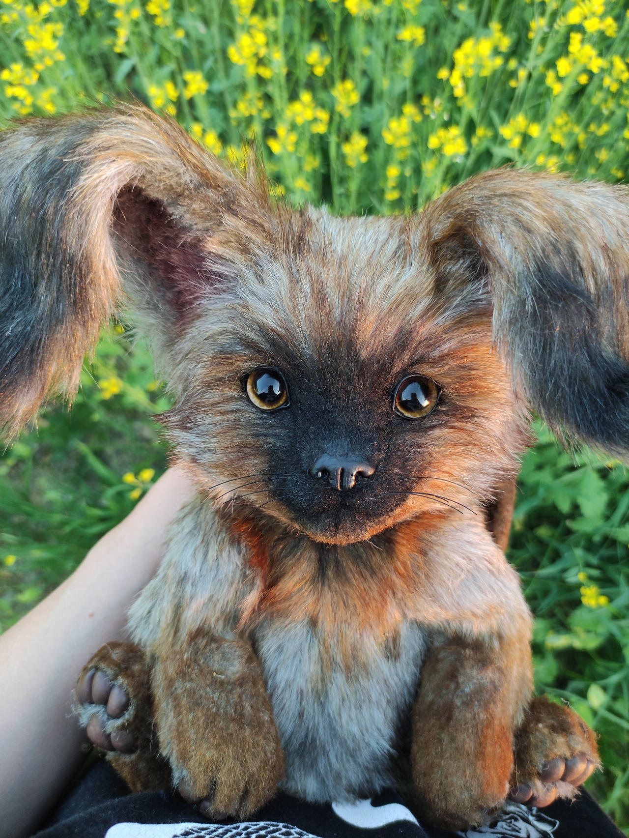 Fantasy baby Ruru by DreamyMamimi on DeviantArt