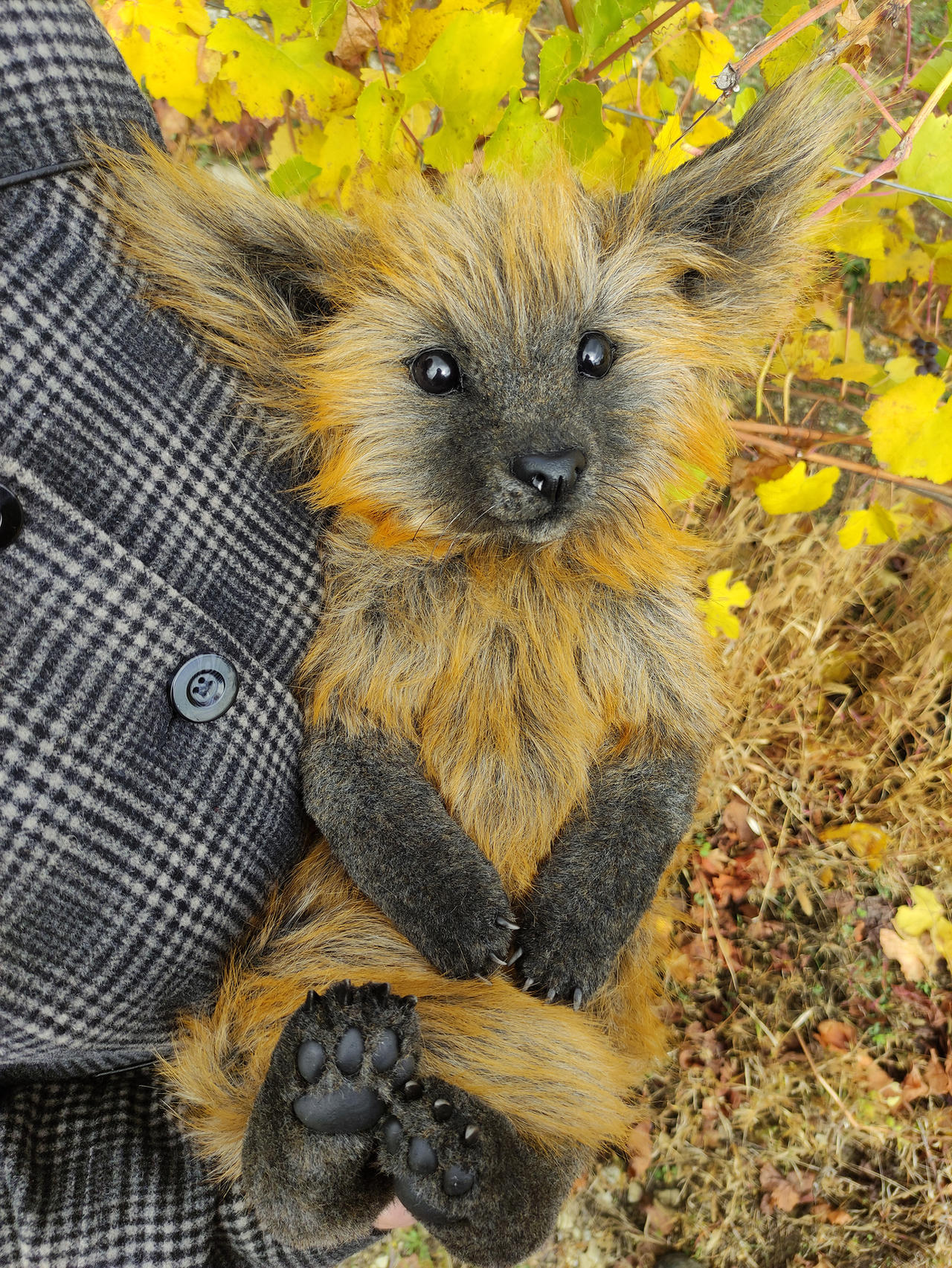October Fox October Fox by DreamyMamimi on DeviantArt