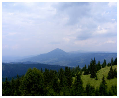 Bucovina mountains