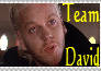 Team David Stamp?