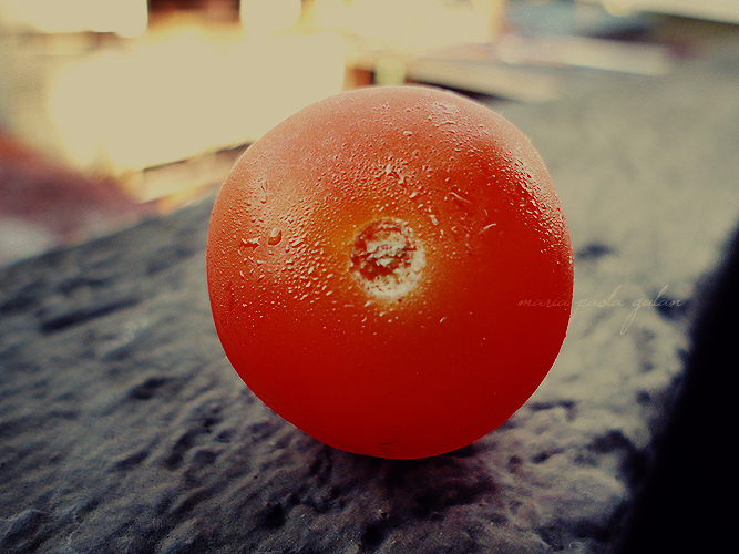 Cherry Tomato under Philippine Sun