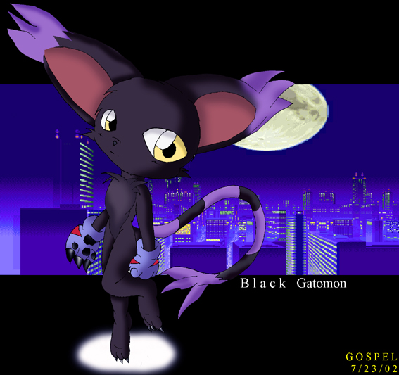 Black Gatomon- For Moonwing