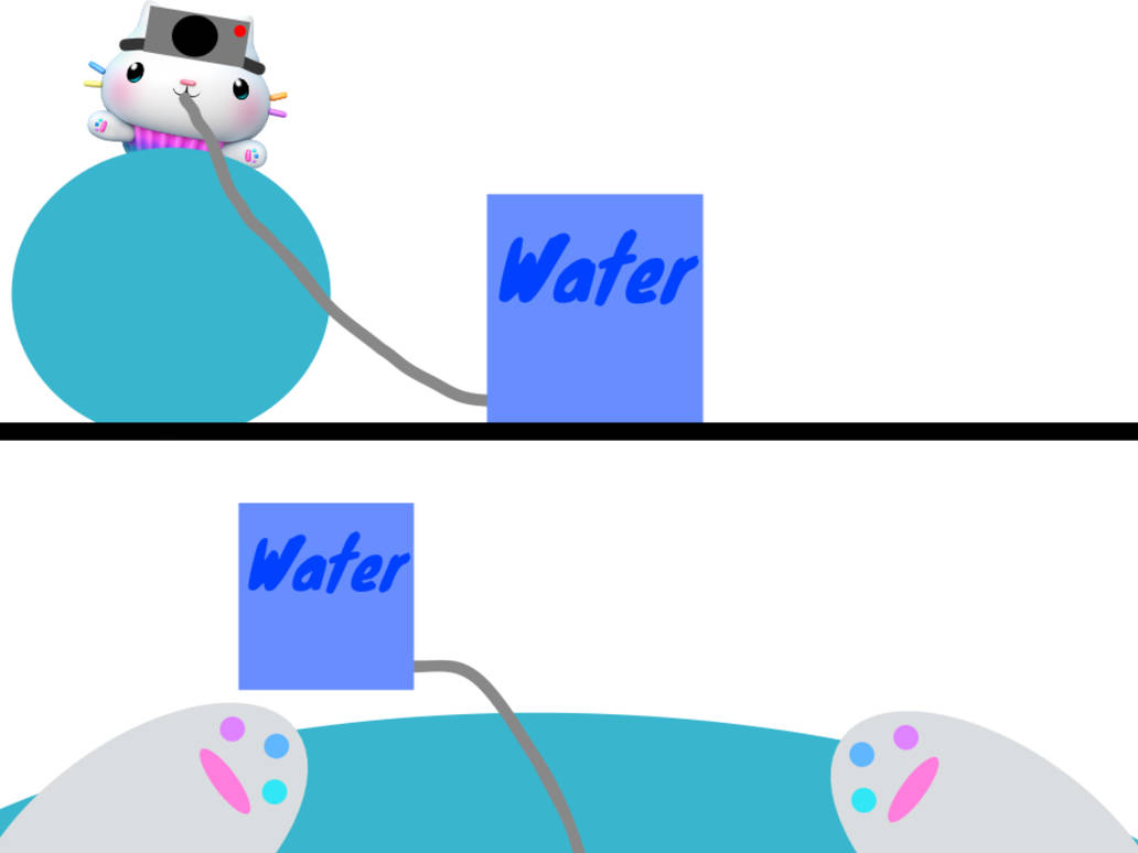 Cakey Cat Water Inflation from cakey cats POV by Snifflesfan1999 on ...