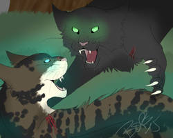 Hawkfrost and Hollyleaf