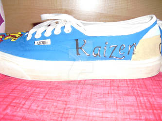 Kaizen Vans