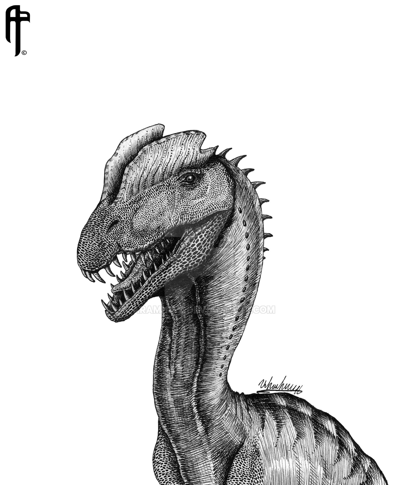 Dilophosaurus by AramRex on DeviantArt