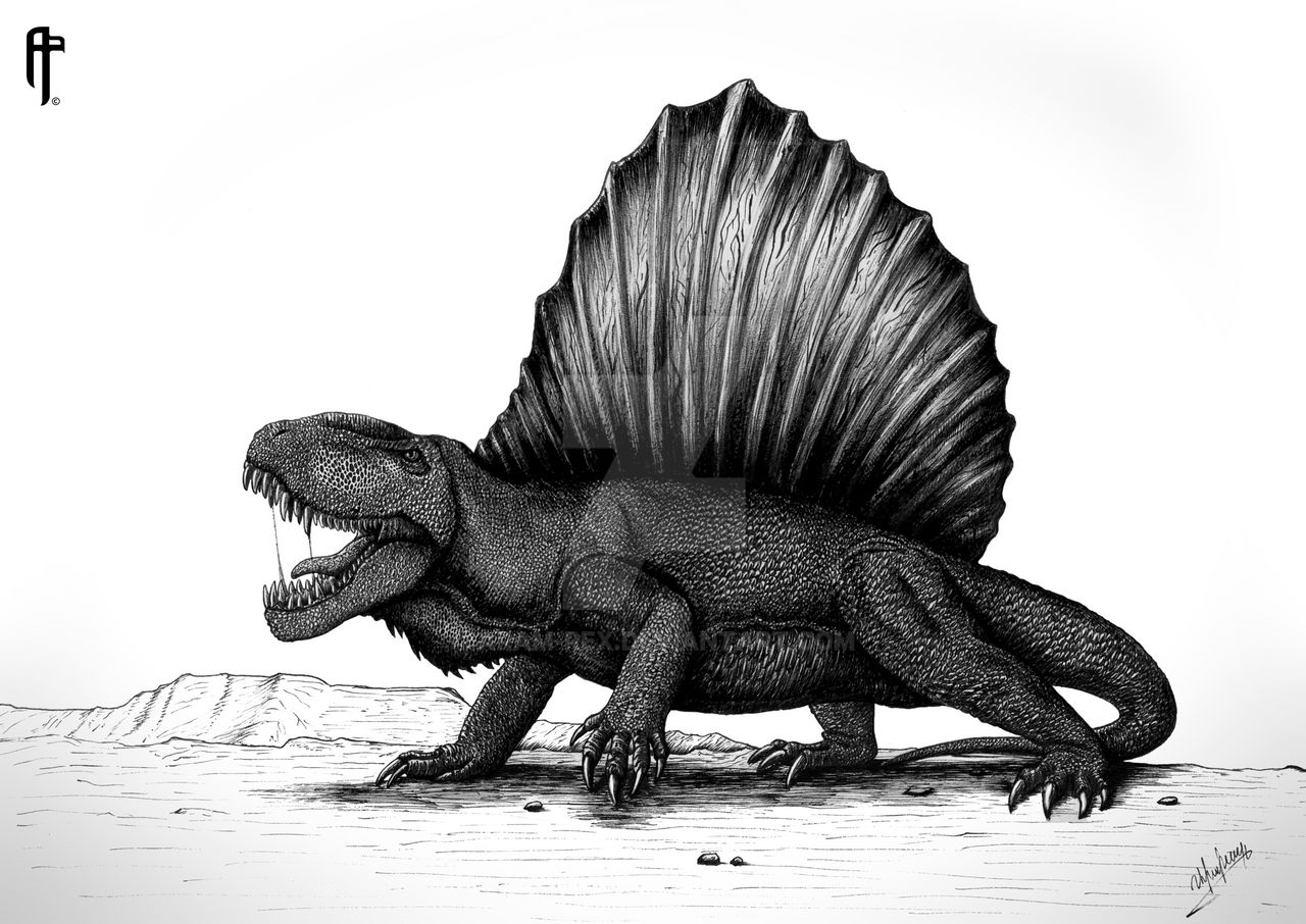 Dimetrodon Grandis by Aram-Rex on DeviantArt