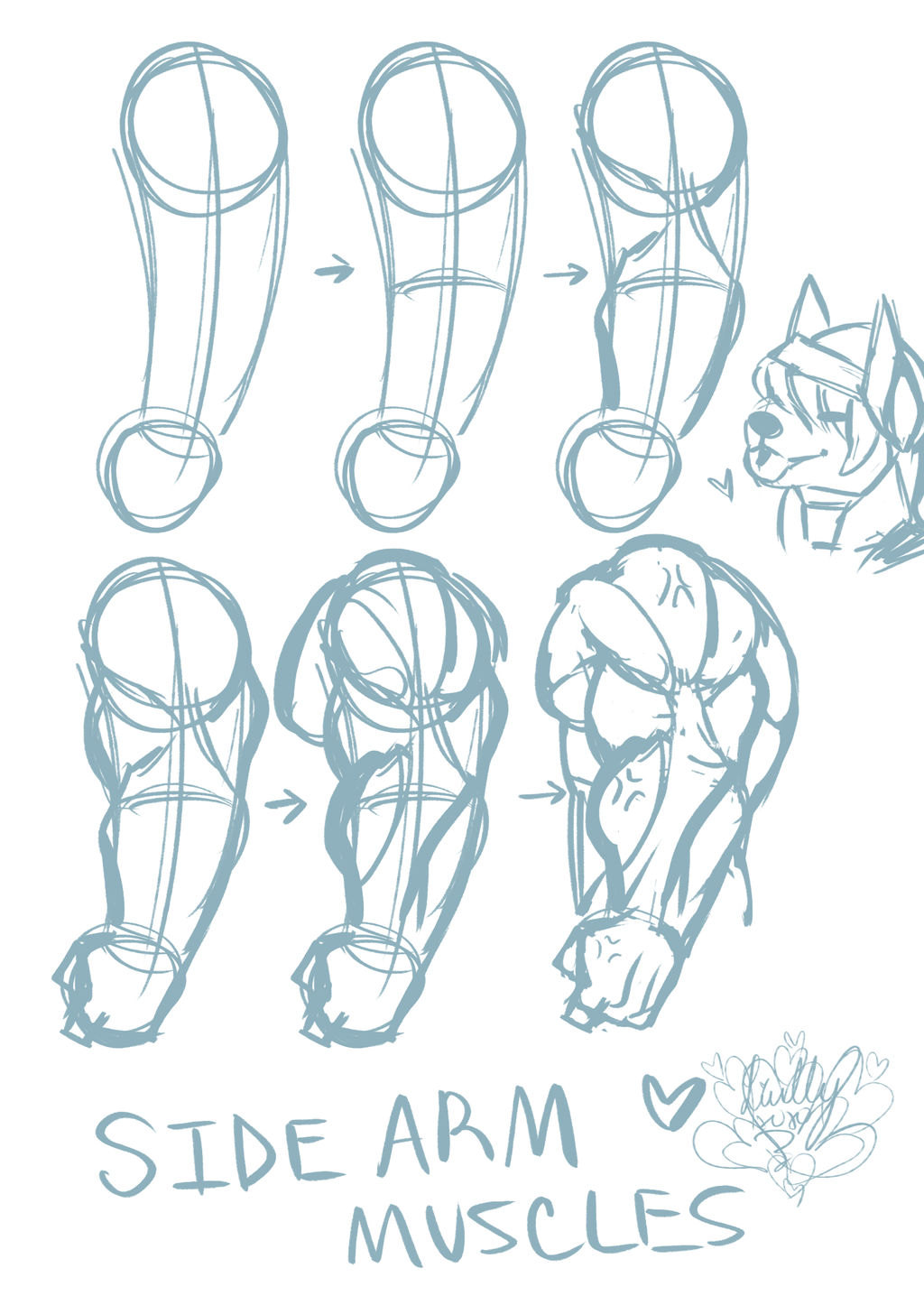 Swole Arm Muscle Tutorial (From the Side) by ShibaThing on DeviantArt