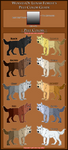 WoLF: Pelt Color Guide by DasChocolate