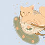 Kittycat