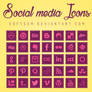 +Social Media Icons Purple.