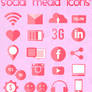 +Social Media Icons Pink.