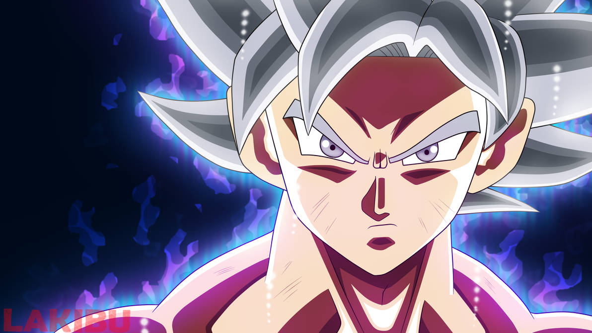 Goku Mastered Ultra Instinct by Lakibu on DeviantArt