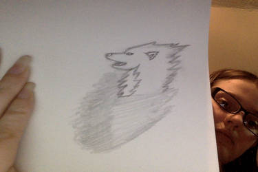 Random Wolf I Made.