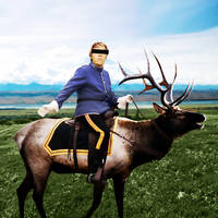 The Elk Ranger