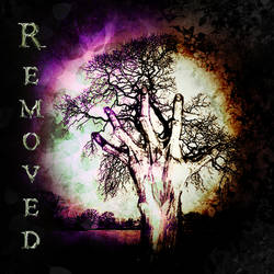 Removed - Art Book Cover