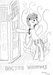 Doctor Whooves