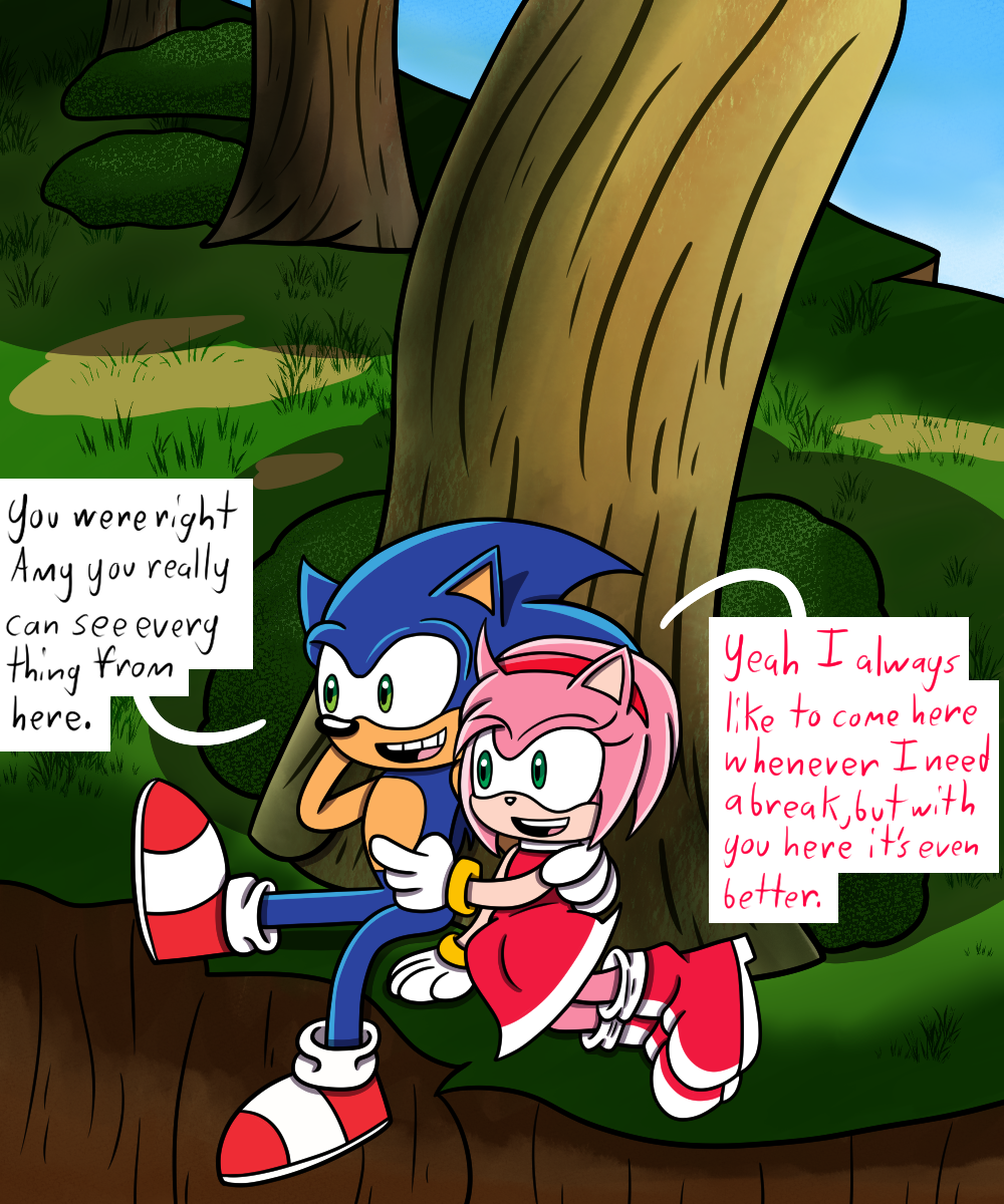 Comics Sonic X Amy by N-SteiSha25 on DeviantArt