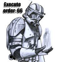 Execute order: 66