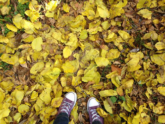 Fallen leaves and sneakers