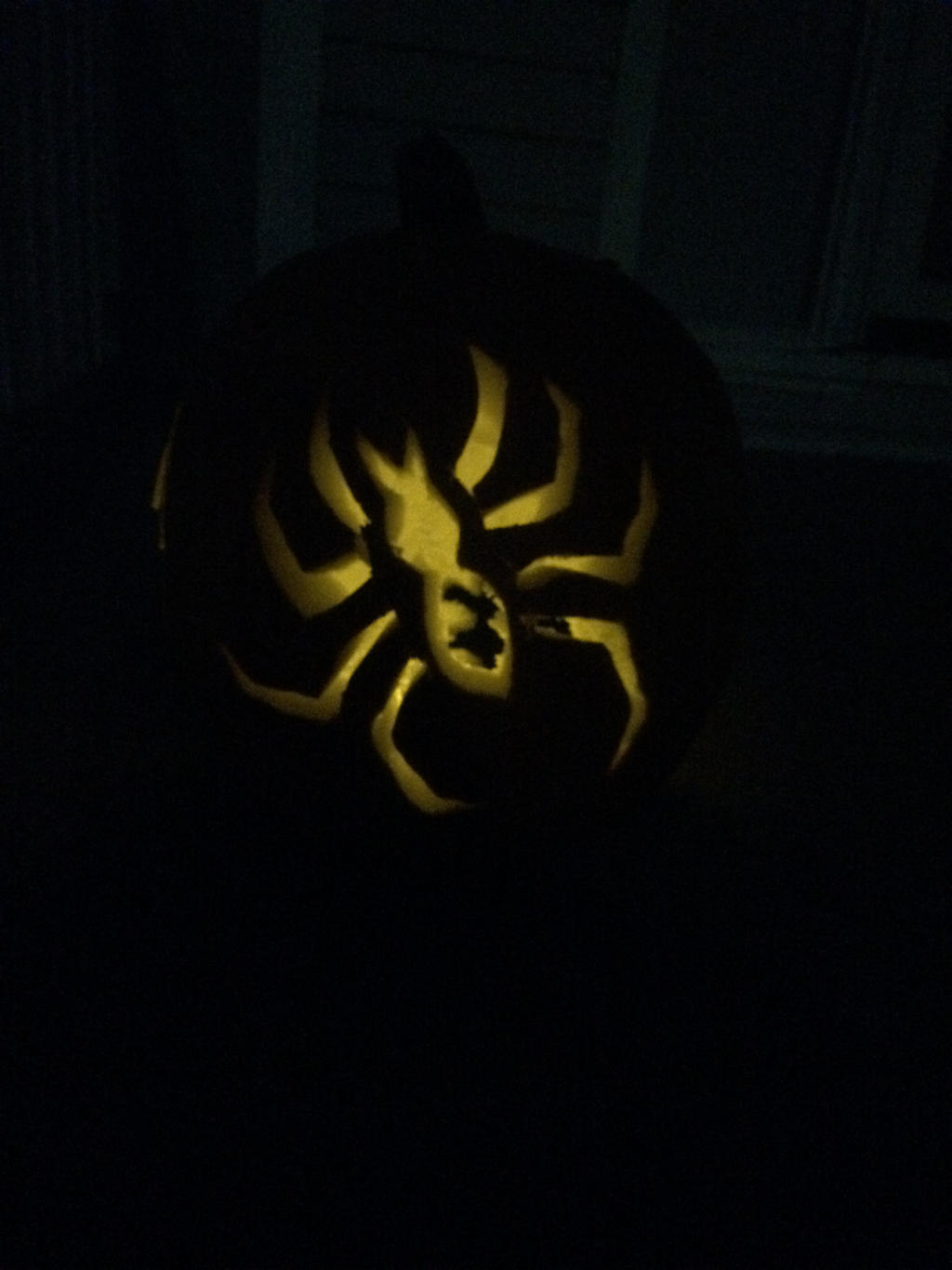 Pumpkin 2015 (1/3)