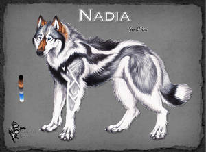 Nadia SoulFire (Basic Reference Sheet) by I-WhiteLightning-I