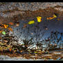 Reflections Of Autumn