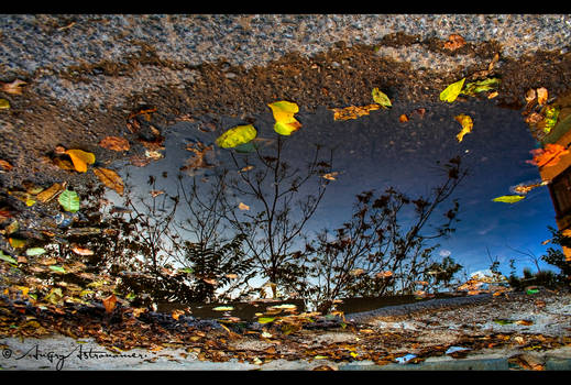 Reflections Of Autumn