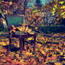 sit down in the autumn
