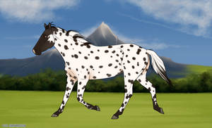 WMRPG | Wild Mare #24 | Azrael