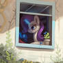 Rarity Window