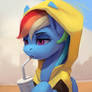 Rainbow Dash break