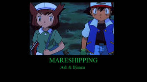 Mareshipping