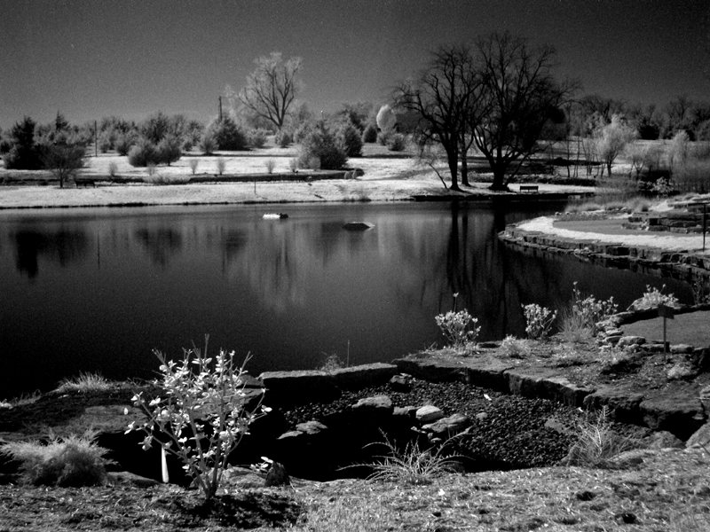 Infrared Lakescape