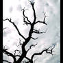 Eerie tree