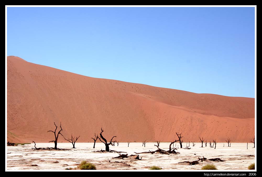 Dead Vlei