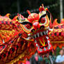 Chinese Dragon - Chinese New Year Traditions
