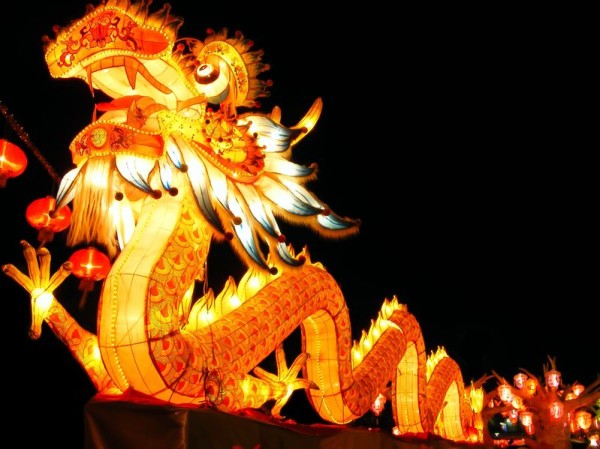 Amazing Dragons - Chinese New Year Traditions