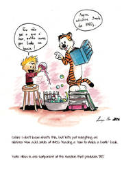 Gift: Calvin and Hobbes